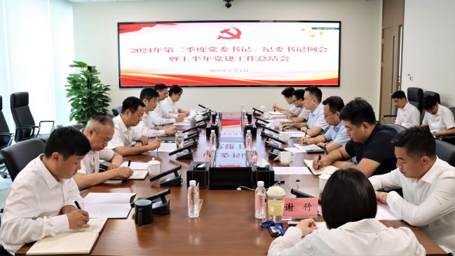 上半年党建工作总结会